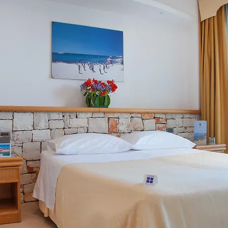 Hotel Terminal - Caroli 3*