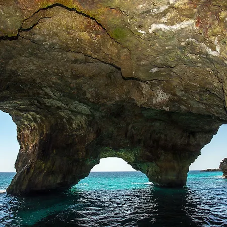 Terminal - Caroli Hotel 3*