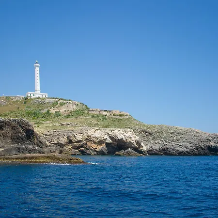 Terminal - Caroli 3*