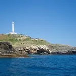 Terminal - Caroli 3*